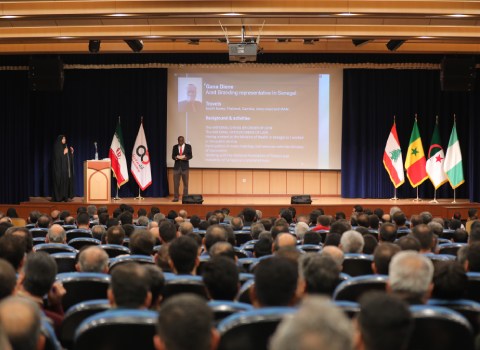 آراد برندینگ